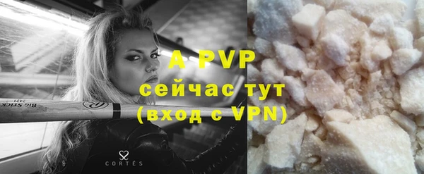 сатива Армянск