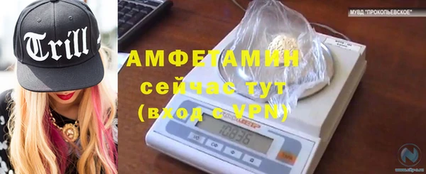 сатива Армянск
