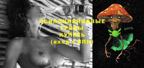прущая мука Арсеньев