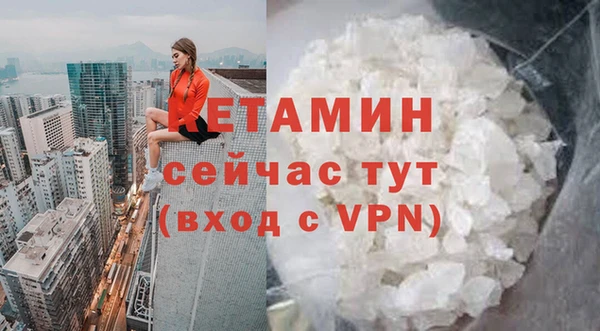 сатива Армянск