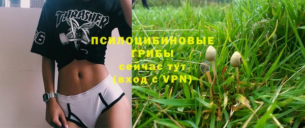 сатива Армянск