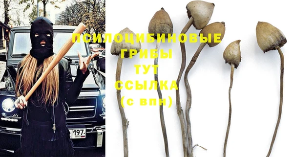 прущая мука Арсеньев