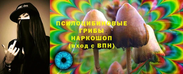 Альфа ПВП Новозыбков