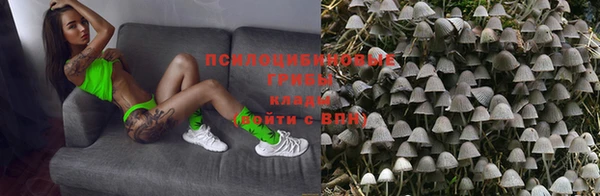 скорость Аркадак