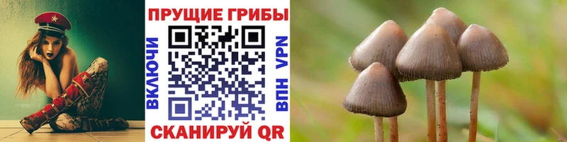 купить наркоту Краснодар Псилоцибиновые грибы прущие грибы